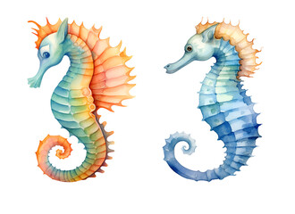 Fototapeta premium Seahorse Watercolor Clipart