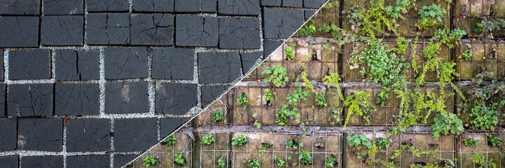 wooden block and vegetated brick texture