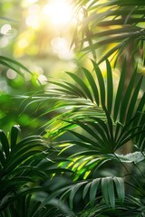 Sun Shines Through Tropical Plant Leaves