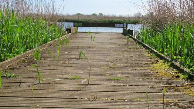 Wooden fishing stage on the Bure River, Norfolk Broads