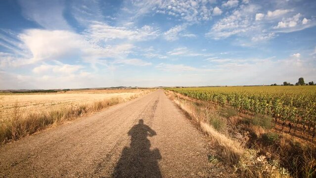 French Way of Saint James - a secondary paved road through agricultural fields near Itero del Castillo, province of Burgos, Castile and Leon, Spain