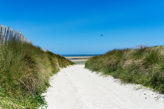 Chemin de sable serpentant entre les dunes garnies d'oyats, guidant vers les eaux de la mer dans le paisible Finistère nord, une invitation à la découverte des rivages bretons.