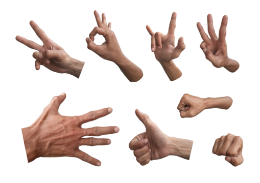 Set of human hands on transparent background. Dismembered body parts