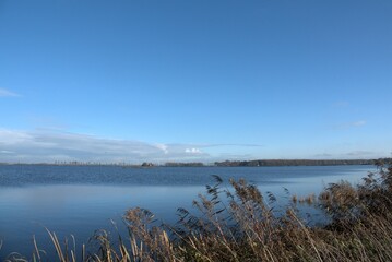 Dannemeer in the Roegwold nearby Slochteren Groningen. Landscape