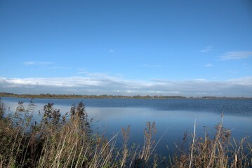 Dannemeer in the Roegwold nearby Slochteren Groningen. Landscape