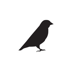 bird pipit silhouette good for elemnt design and grapic to coloring sketch