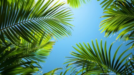 Fototapeta premium Palm tree leaves close up against clear blue Floral sharp professional and lighting, banner style, generated with AI