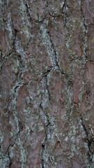 Vertical dark wooden texture background