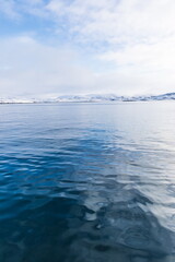 northern polar landscapes in the Teriberka Nature Park on the shore of the Barents Sea, Murmansk, Russia