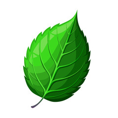 Obraz premium Green spring leaf art drawn on white background
