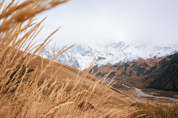Golden Grasses Dance in the Breeze Before Georgia’s Snowy Mountain Tapestry.
