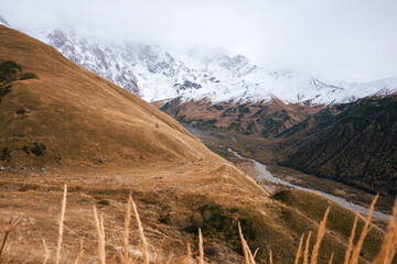 Whispering Grasses Frame a Spectacular View of Georgia’s Snowy Mountains in the Caucasus