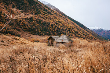 An Abandoned Mountain Hut Stands Alone Amidst the Autumn Whisper of the Georgian Caucasus