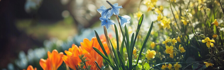 Springtime Floral Bliss