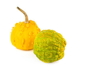 Two pumpkins isolated on a white. There is free space for text.