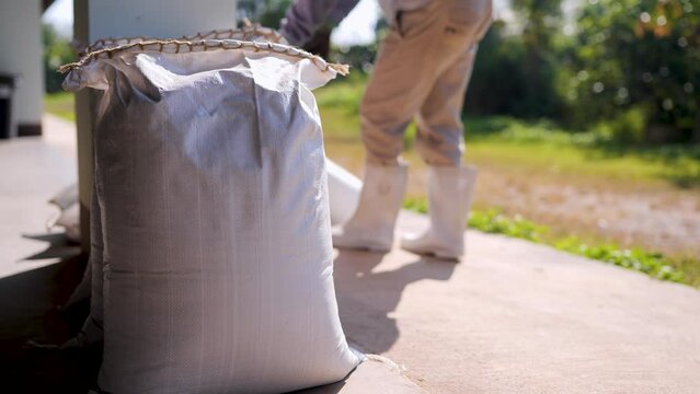 Animal feed production process. Fish food.