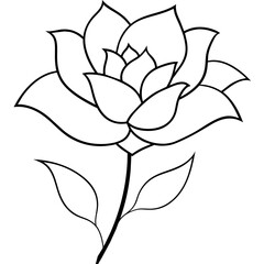 illustration of a rose