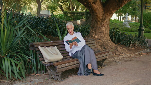 Relaxed lady sitting park bench alone. Focused senior reading book under tree