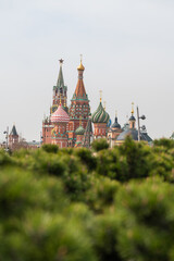 Fototapeta na wymiar Side view from public park of Saint Basil's Cathedral and Spasskaya Tower of Moscow Kremlin over evergreen fir bushes in a sunny spring day. Selective focus. Russian culture theme.