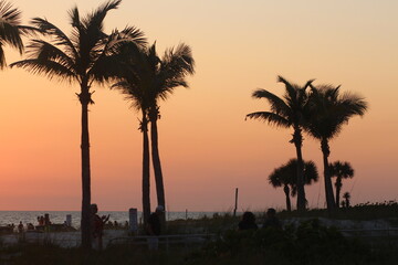 Fototapeta na wymiar Sunset Sky on Beach in Tropical Florida palm trees Stock Photo