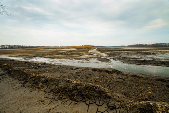 Dried bottom of a lake with mud