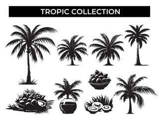 A Collection of Palm Trees and Coconuts