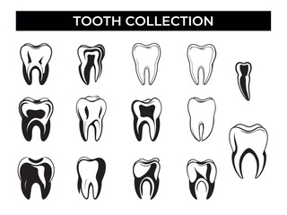 Various Tooth Shapes Displayed