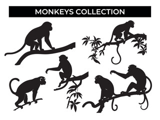 Monkey Silhouettes Collection