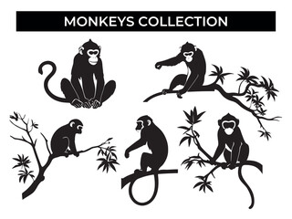 Monkeys Sitting on a Tree Branch