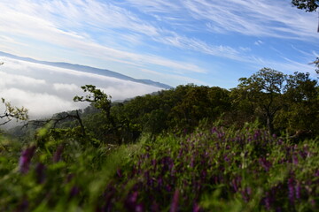 clouds over the mountains