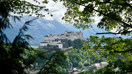 Blick auf die Festung Hohensalzburg in Salzburg vom Kapuzinerberg durch Blätter bei Sonnenschein