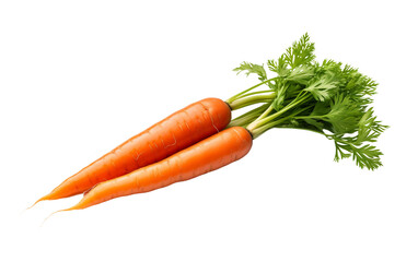 Transparent Background Carrot