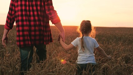 Cute little girl with father farmer holding hands walking at sunset dry wheat field closeup. Happy...