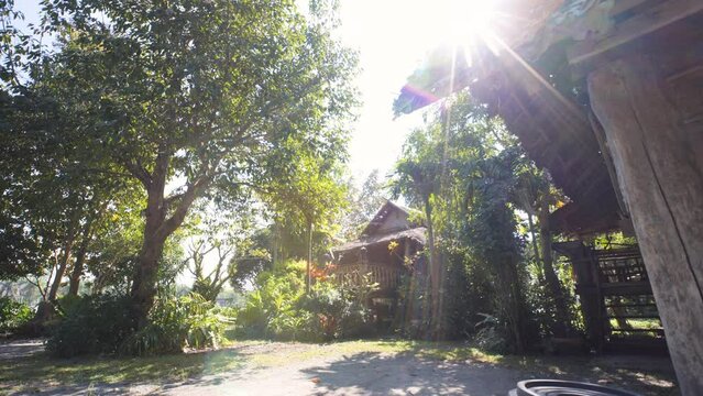 View of a country house garden.