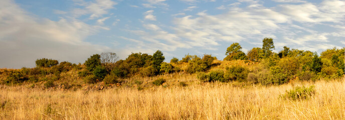 A panoramic scene from Rietvlei Nature Reserve, Gauteng, South Africa.