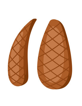 Decorative beaver tail cartoon animal tail design vector illustration isolated on white background