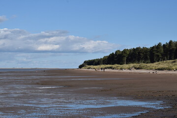 Coastal Landscape