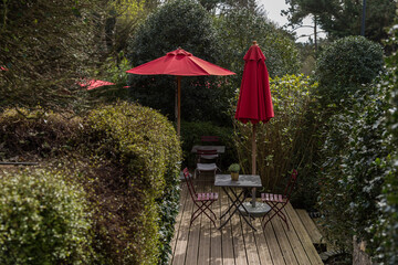 garden in the garden