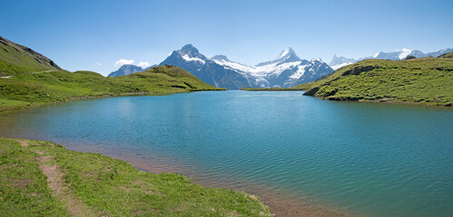 beautiful lake Bachalpsee inmidst green alpine landscape, Bernese Alps - 790374639