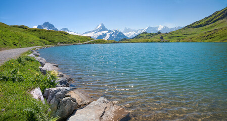 hiking trail along lake Bachalpsee inmidst green alpine landscape, Bernese Alps - 790374645
