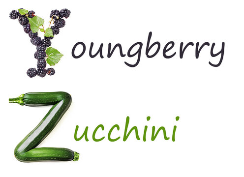 Fruit and  Vegetable Alphabet Letters "Y" and "Z" Made of Youngberry and Zucchini Isolated on White Background