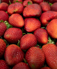 Intense Red: Snapshot of Juicy Ripe Strawberries