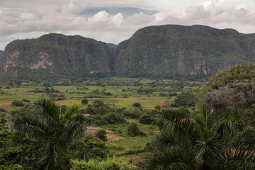 Karst landscape with dome-like limestone outcrop -mogote Dos Hermanas- in the UNESCO World Heritage Valle de Viñales Valley. Pinar del Rio-Cuba-147