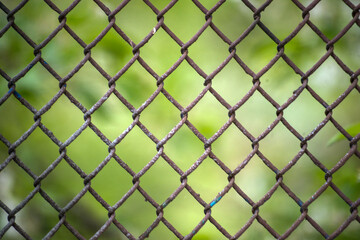 Fototapeta premium fence