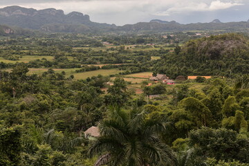 Karst landscape with dome-like limestone outcrop -mogote Dos Hermanas- in the UNESCO World Heritage Valle de Viñales Valley. Pinar del Rio-Cuba-149