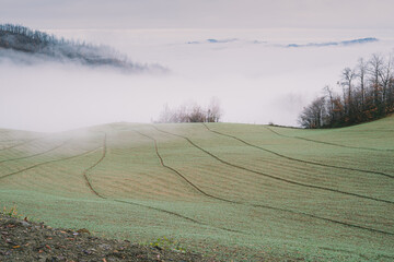 The fog has arrived in the valley, Northern Apennines in the province of Bologna, Emilia-Romagna, Italy