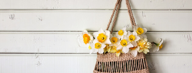 bouquet of daffodils in a woven bag on the wall, a floral banner.