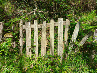 Portilla, ancient wooden door that gives access to a privately owned meadow, typical in Asturias, Spain