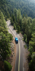 Scenic Route through a Dense Forest with a Blue Car on Winding Road