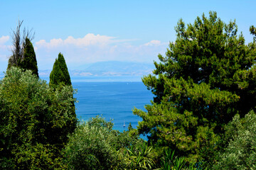 widok na morze między drzewami, wakacyjny krajobraz, sea ​​view between trees, holiday landscape, Coast view from the top between trees
